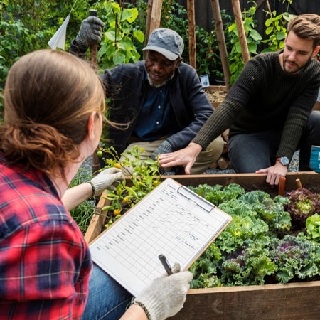 Horticultural services and landscape design