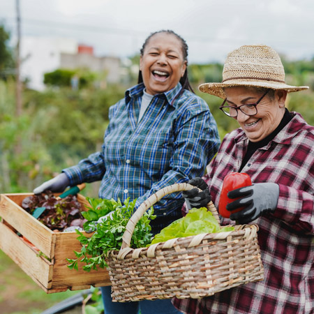 Sustainable practices and initiatives